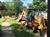 Paddock Way for website.jpg
